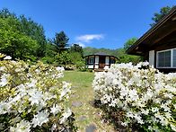 연산홍