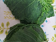 여름반찬 깻잎장아찌. 만들..