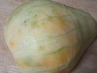 오늘도 열일하는 땅콩호박