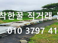 피나무숙성꿀 관절염 염증 대상포진에효능
