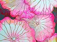 lotus story