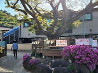 거제 구조라성