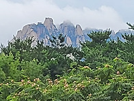 산창 101 링반데룽..