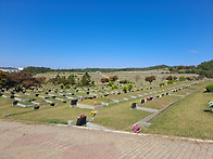 고 김영도 님 2주..