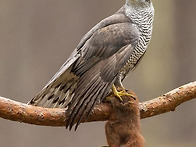산중문답 22 신세..