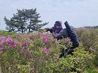 일림산