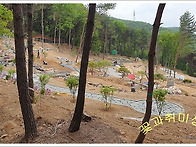 원주 소금산 출렁다리 울렁..