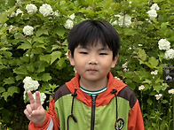 [짧은 숲 산책] ..