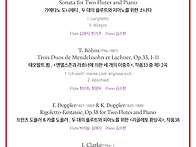 [대전] 6월 21일 대전플루..