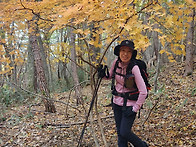 새식구를 소개합니다(자두..