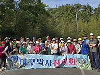 제192차 곡성장미..