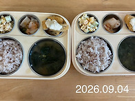 2026년9월4일 점심:수수밥..