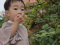 🍒앵