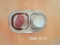 2026년10월15일 오후간식:..