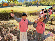 🍁배