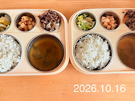 2026년10월16일 점심:차조..