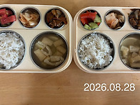 2026년8월28일 점심:보리..