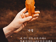 낙엽 / 정호승