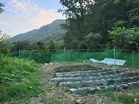 고라니그물망설치