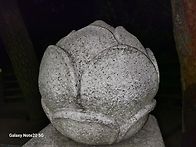 20250911(목)정글속 야라