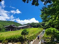 20250726(토)백양산 운수..