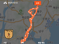 20241011(토) 도심라이딩