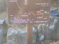 20251119(수)퇴근길 엄광..