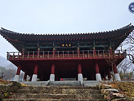 충북 영동 | 천태산 & 금..