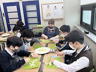 [🌸실천1의 금..