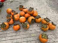 중한 아포스티유 협약 20..