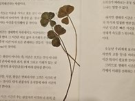 책에사용