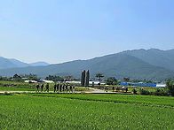 ♤ 능소화의 의미..