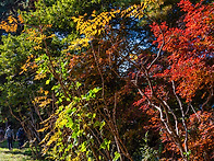 바우길 11구간 -..