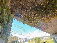 모든 풍경이 한편..