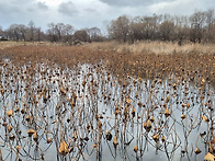 강릉바우길 바우님..