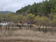 노랑-연두-초록 ..