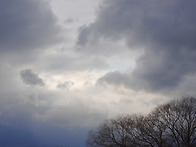 &clubs;어머닌 고사리를..