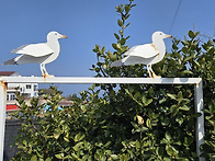 주문진수산시장에..