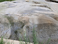 한여름의 수목원가..