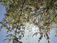 쫄로리 - 솔올미술..