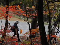 ♣오늘은 더 기뻤..