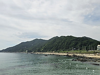한여름 폭염을 잠..