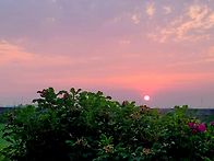 대취(大醉)