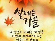 멋진 하루