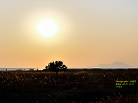 25년를 보내면서