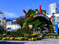 마산 제 25회 가고파 국화..