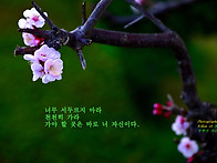 무학산 가는 길