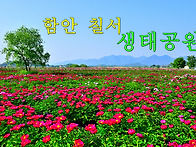 함안군 칠서면 강..