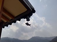 친정아버님 천도재