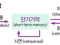 초고령사회 약국 상담: 인..